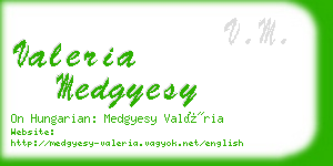 valeria medgyesy business card